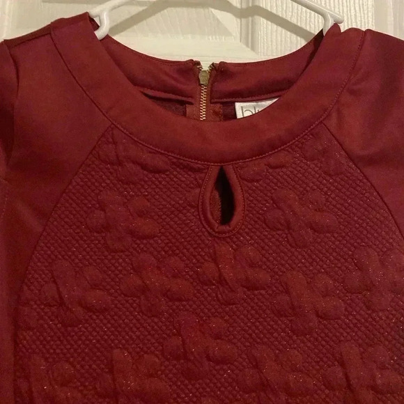 Blush by us Angels Girl’s Mini Dress Maroon Glitter Fabric Sz. 16 (No Belt) - Picture 8 of 10